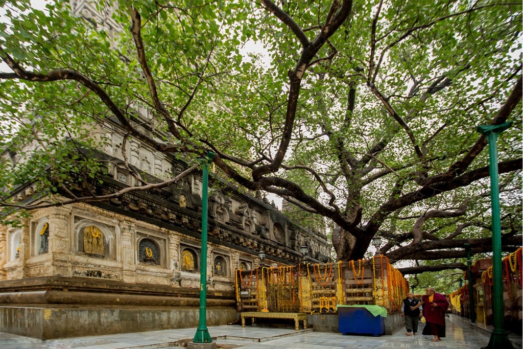 bodhgaya